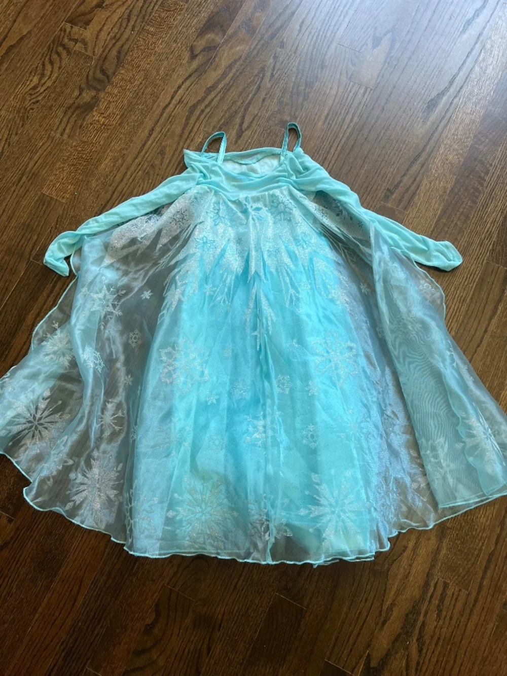 Disney Frozen Elsa Gown